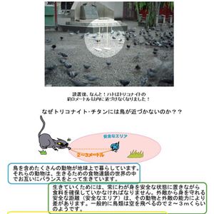REgRiCgE`^ NEW 3{摜R