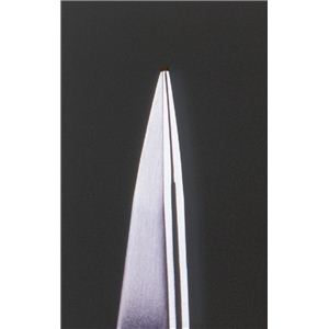 ̋ZXeXєiɍׁjG-2152摜Q