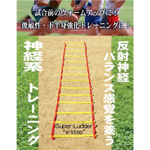 Super-Ludder�i�X�[�p�[���_�[�j e-step�i�C�[�X�e�b�v�j BX74-69�摜����1