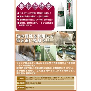 yWFzǔLVbg摜Q