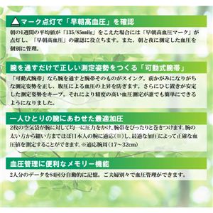 IvHEM-1010X|bgA[摜Q