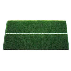 �A�C�A���}�b�g �X�^���_�[�h�摜����1