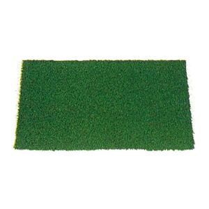 �A�C�A���}�b�g �i�C�����S���t�摜����1