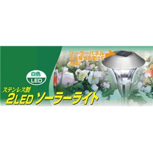 SV-3284 XeX 2LED\[[Cg摜Q