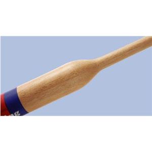 BT74-63 �t���X�E�B���O�o�b�g�C���[�W��