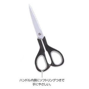 SH10 tbfR[gnT~ 170mm 5Zbgy[Epiz摜Q
