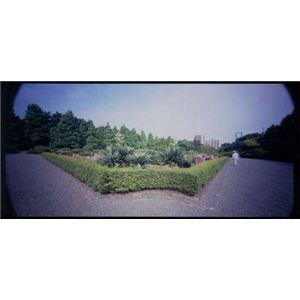 HOLGA120WPC HOLGAizKjgCJ HOLGA120WPCiChsz[JjP[u[YAtyJEJӋ@z摜Q