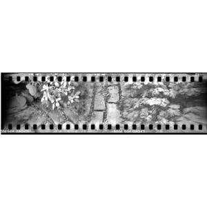 Pinhole Blender 35 Pinhole Blender isz[u_[j pm}sz[J Pinhole Blender 35yJEJӋ@z摜R