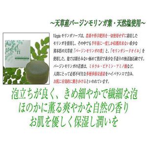 VirginK\[v 100g~2Zbg摜Q