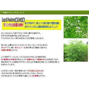 VirginK\[vKn[ueB[摜Q