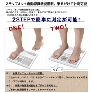 ^j^ BC-309 ̑gvCi[XL50 PRp[zCg摜R