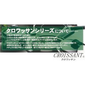 NbT 200VStCp 24cm摜R