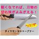 _ChV[vi[i݁j摜ŏP