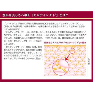 oCVX CX`AT|[g \[v摜Q
