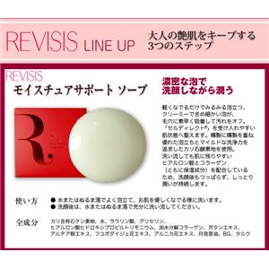 oCVX CX`AT|[g \[v摜R