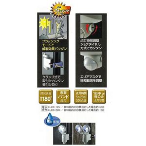 TV LED-220 dr 1.3W~2 LEDZT[Cg摜Q