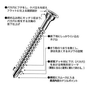 ECO SnpEbhfbLrX 60mm摜Q