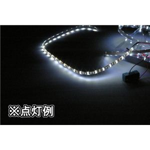 ~bNX NX^VCLEDou zCgERS-101W摜Q