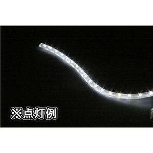 ~bNX NX^VCLEDouiJo[^Cvj zCgERS-105W摜Q