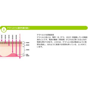 yzeJgtFCX[[摜R