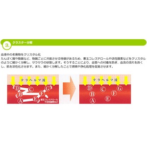 yzeJgtFCX[[摜S