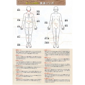 `bv摜Q