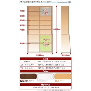 ubNVFt Tallig[j 120cm^Cv zCg摜Q