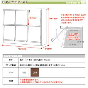 new DS120-F6 tbv 6^Cv _[NuE摜Q
