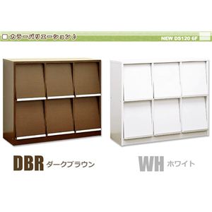 new DS120-F6 tbv 6^Cv _[NuE摜R