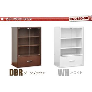 NEW fBXvCbNV[Y otKXLrlbg DS60-DR zCg摜R