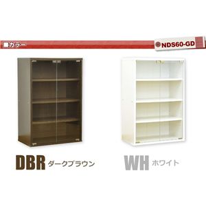NEW fBXvCbNV[Y KXLrlbg DS60-GD _[NuE摜R
