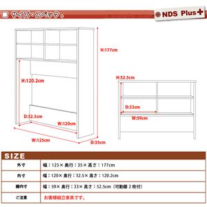 NEW fBXvCbNV[Y Plus nCbN^Cv DS60 ǖʎ[ zCg摜Q