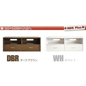 NEW fBXvCbNV[Y Plus er^Cv DS60 _[NuE摜R
