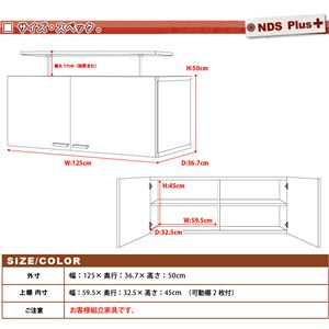 NEW fBXvCbNV[Y Plus u125cm^Cv DS60 zCg摜Q