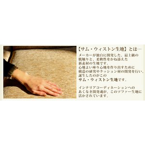 wJX^}CY\t@[@n[j[xւpJo[iPij FREPCV IW@{̕ʔ摜S