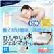 qJ ЂWF}bgyi40cm~30cmjz HG2835 摜ŏP