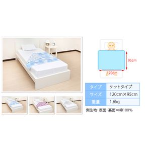 qJ ЂWF}bg OWA[yPbg^Cvi120cm~95cmjz HG4-120 u[Xe摜Q