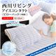 y샊rOzACXR^Ngqs[pbhi1gjr ICM04 p[v摜ŏP