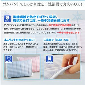 y샊rOzACXR^Ngqs[pbhi1gjr ICM04 p[v摜R