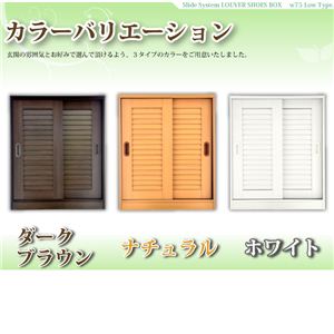 XChV[Y{bNX yPENNA-yi-i75cm^Cvjz SLBS-7590 _[NuE摜Q