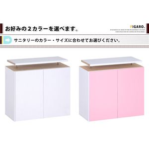Tj^[bNyFigaroz60cmu STR-60UP sN摜R