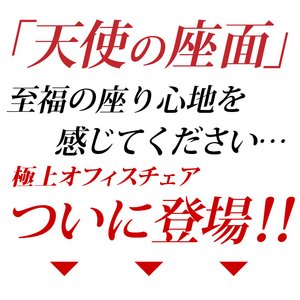 MidvWfgItBX`FA y-Raphael- t@G Vg̍ʃV[Yz@HC-722M@AC{[摜S