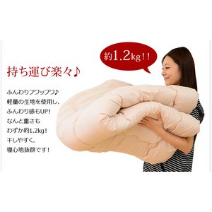 h_jERۖhLEHbVuzc VO@m3_Zbg yPulito-v[g-z ixbhpj@BKY@x[W摜S