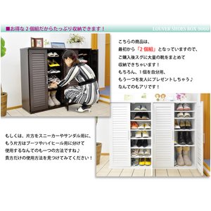 y֎[Fz[o[V[YBOX9060@SLB-9060@i`摜S