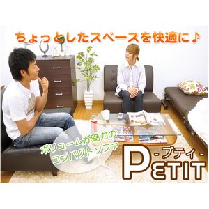 ȃ\t@@Petit -veB-@PE-85@AC{[  85cm摜R