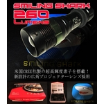 充電式LEDライト　CREE(クリー)Q5 LED搭載 ・懐中電灯