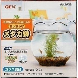 GEX（ジェックス） ちっちゃなメダカ鉢  【ペット用品】