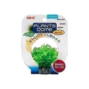 GEX（ジェックス） プランツドームミニ ハイグロ （水槽用アクセサリ） 【ペット用品】