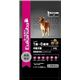 Eukanuba�i���[�J�k�o�j �����e�i���X���^���� 1Kg �i�h�b�O�t�[�h�j �y�y�b�g�p�i�z�摜�ŏ��P