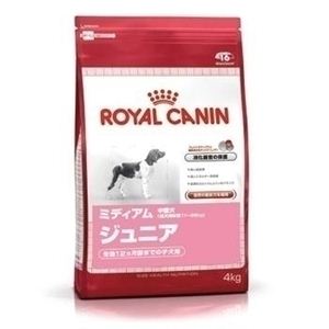 ROYAL CANINiCJij SHN~fBAWjA4Kg ihbOt[hj yybgpiz